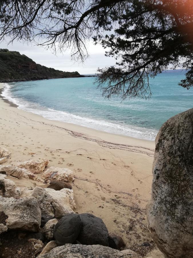 Appartamenti Le Conchiglie E Le Stelle Marine Cala Gonone Kültér fotó
