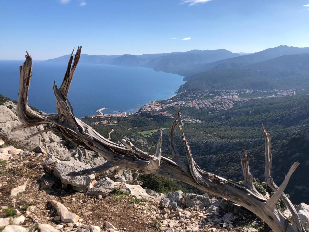 Appartamenti Le Conchiglie E Le Stelle Marine Cala Gonone Kültér fotó