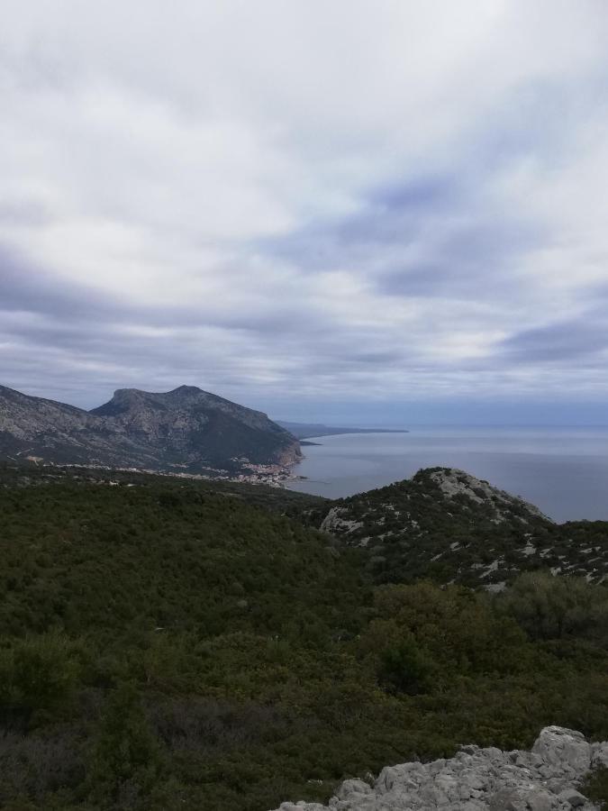 Appartamenti Le Conchiglie E Le Stelle Marine Cala Gonone Kültér fotó