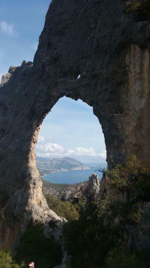 Appartamenti Le Conchiglie E Le Stelle Marine Cala Gonone Kültér fotó